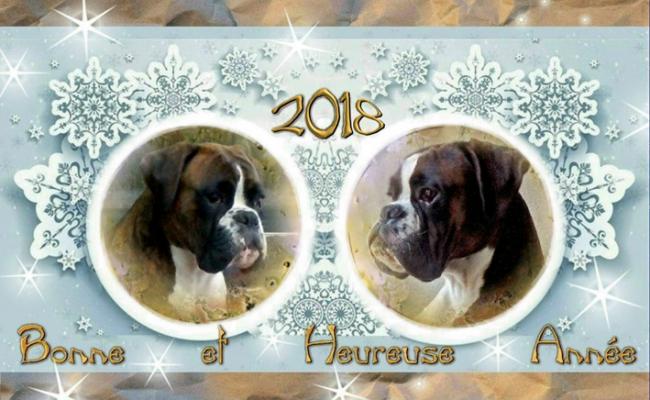 Meilleurs Vœux 2018 Guenievre et Giotto du Dolon
