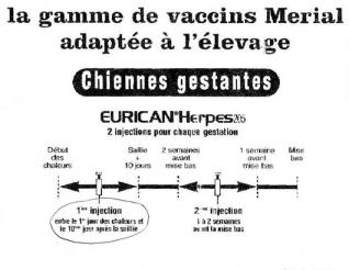 Herpes virose protocole