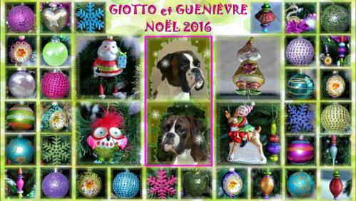 Le Noël de Giotto et Guenièvre